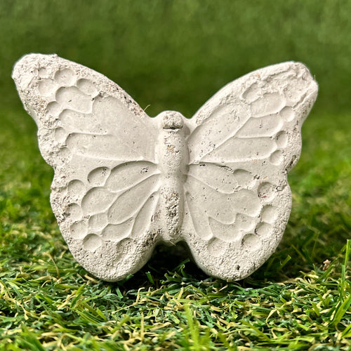 Clay butterfly filled with a mix of pollinator seeds